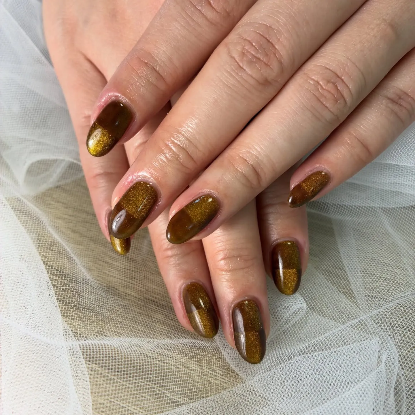 ブラウン✖️マググラデ🧲